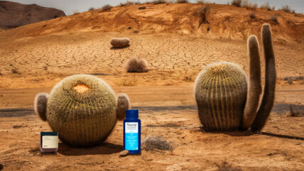 How to Fix Itchy Dry Scalp