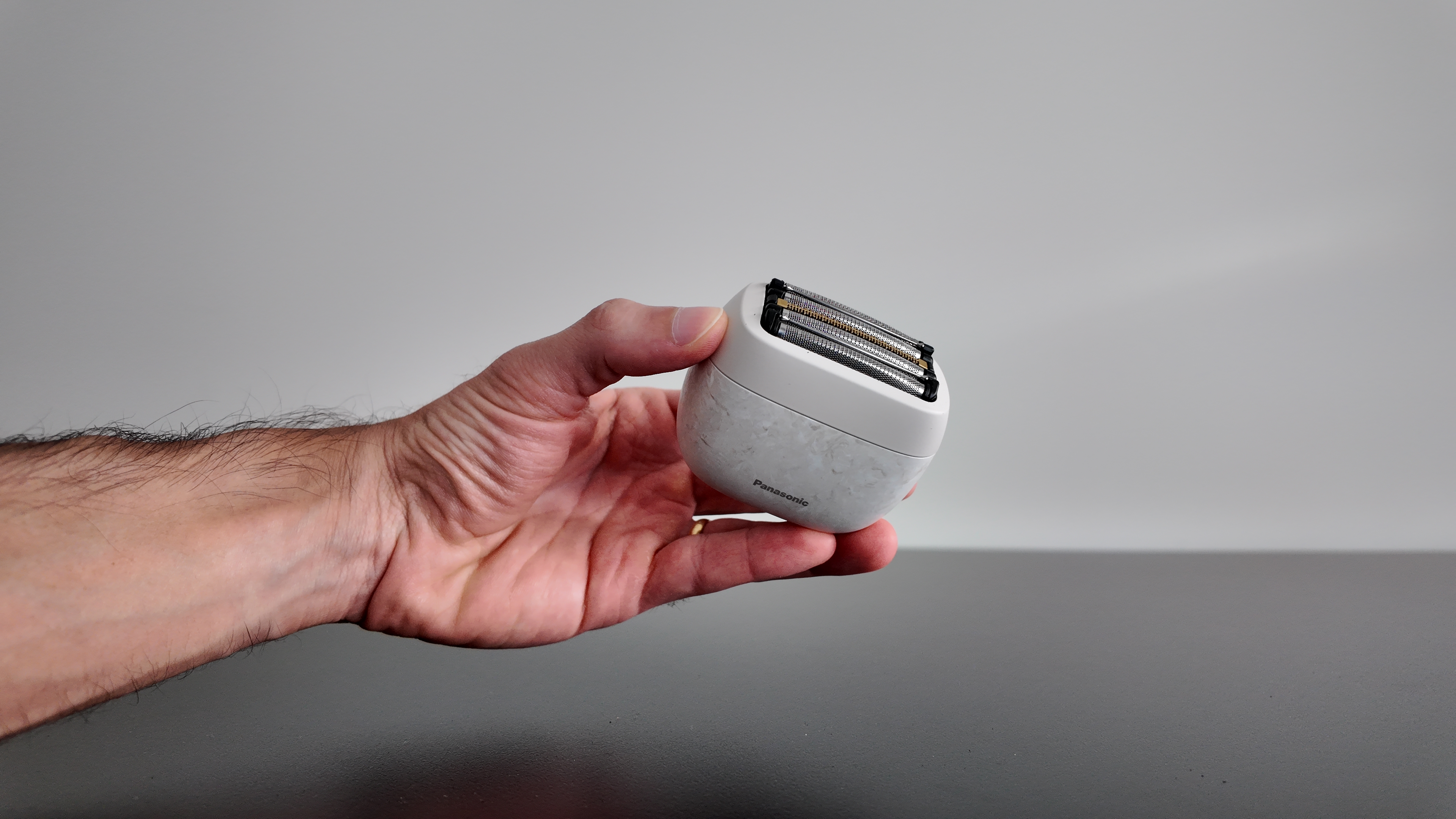 Panasonic Arc5 Palm Review