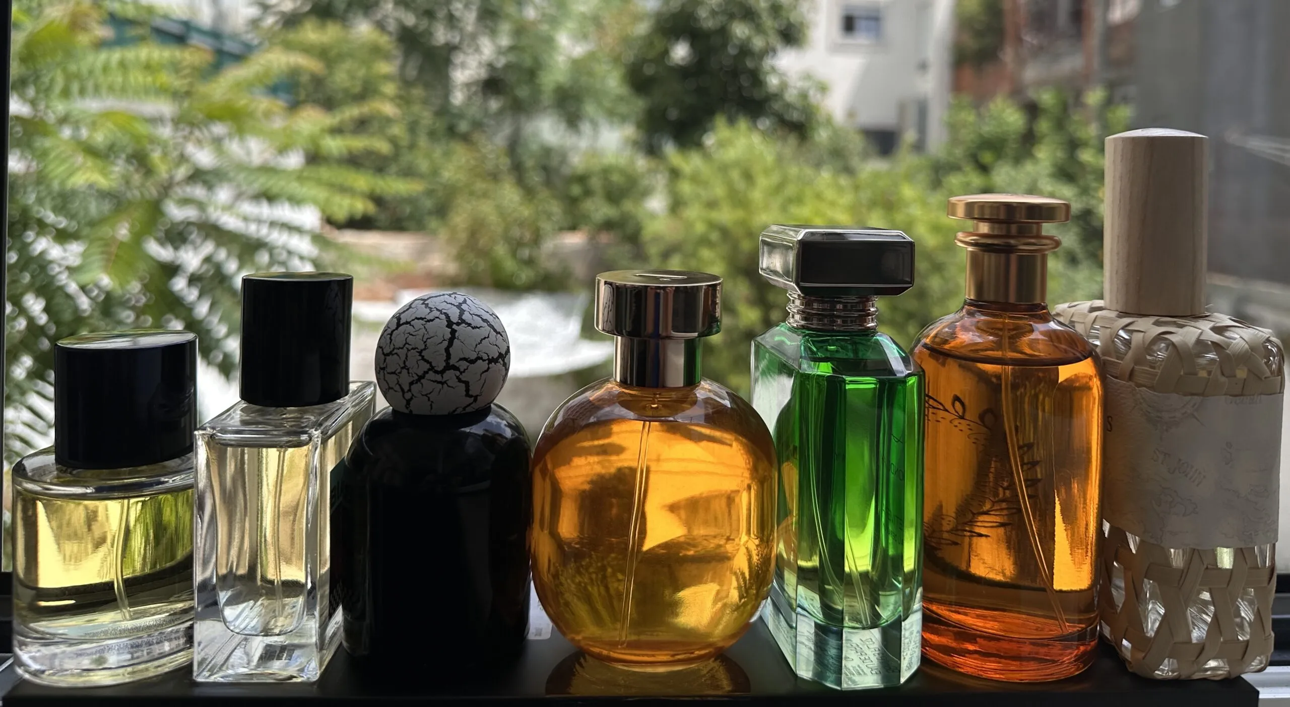 The Best Summer Mens Colognes 2025